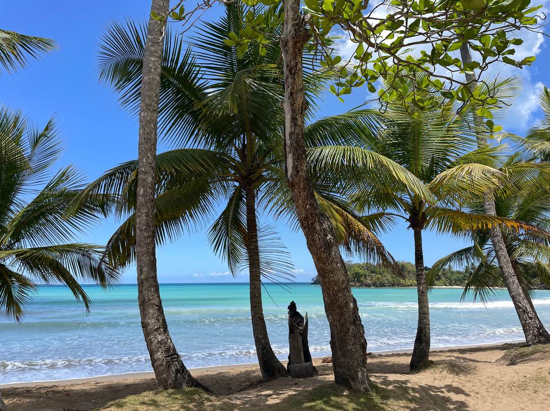 Playa Bonita-拉斯特拉纳斯必去景点