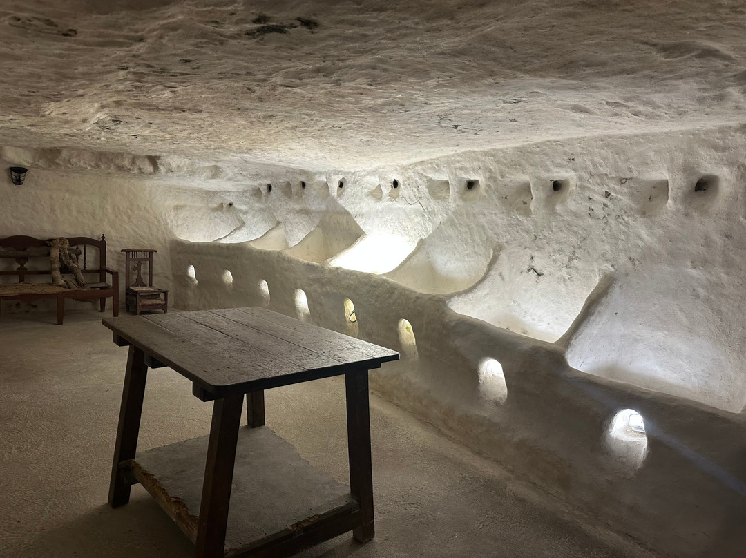 David's Coachtrips-托雷维耶哈必去景点