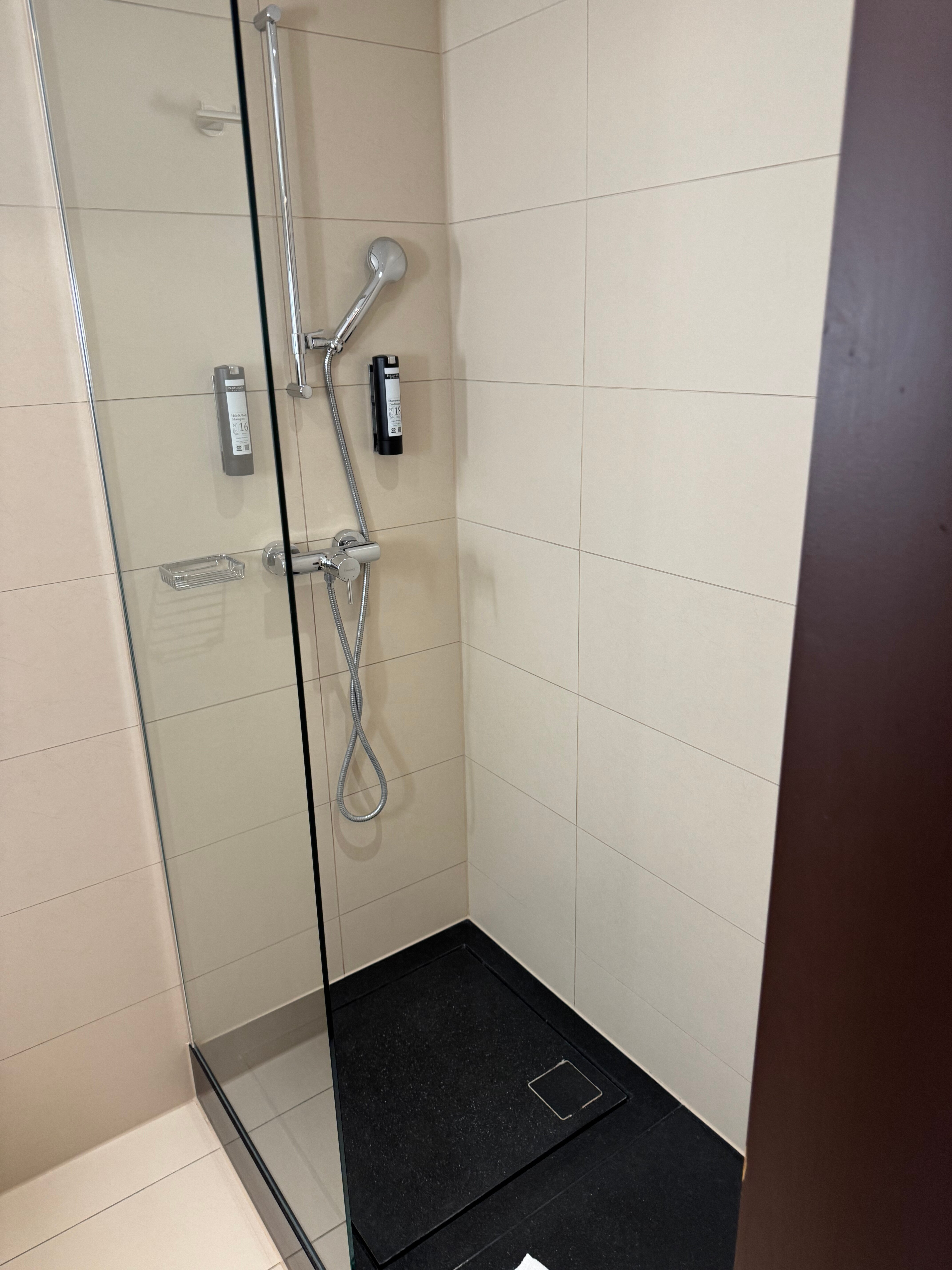 埃格尔金根瑞享酒店-浴室