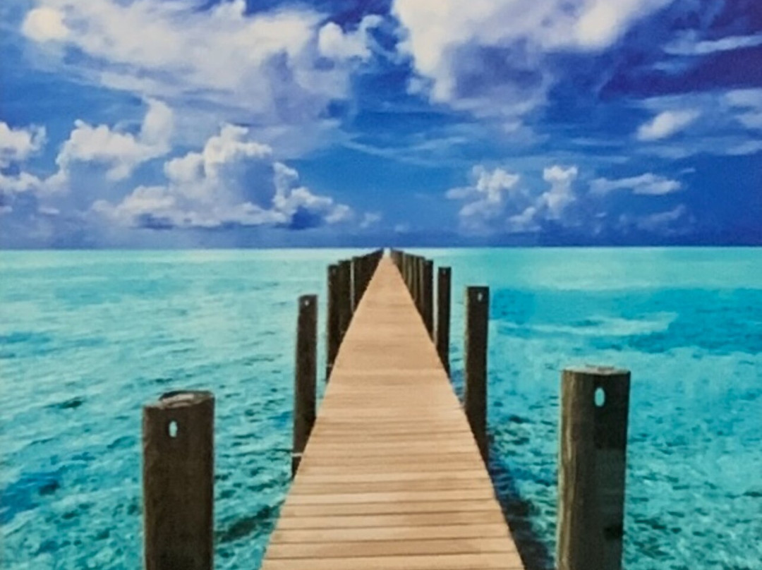 Alan S. Maltz Gallery-基韦斯特必去景点