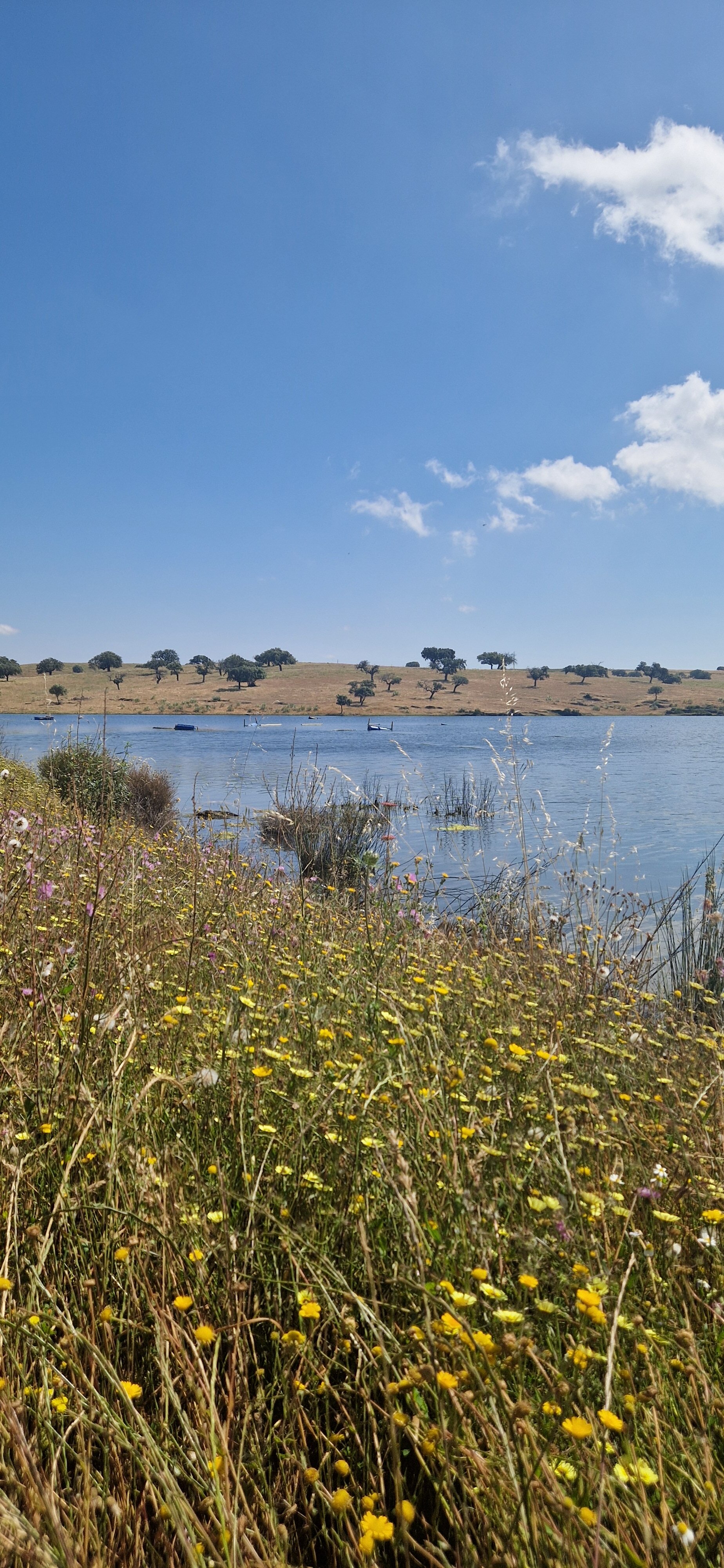 Monte da Estrela Country House & Spa-官方
