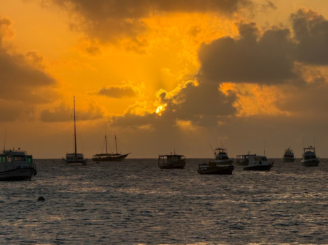 Boldro Beacch-费尔南多-迪诺罗尼亚群岛必去景点