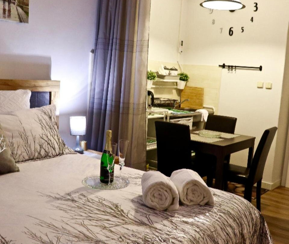 Mesto Albrechtice酒店住宿-Penzion Karin