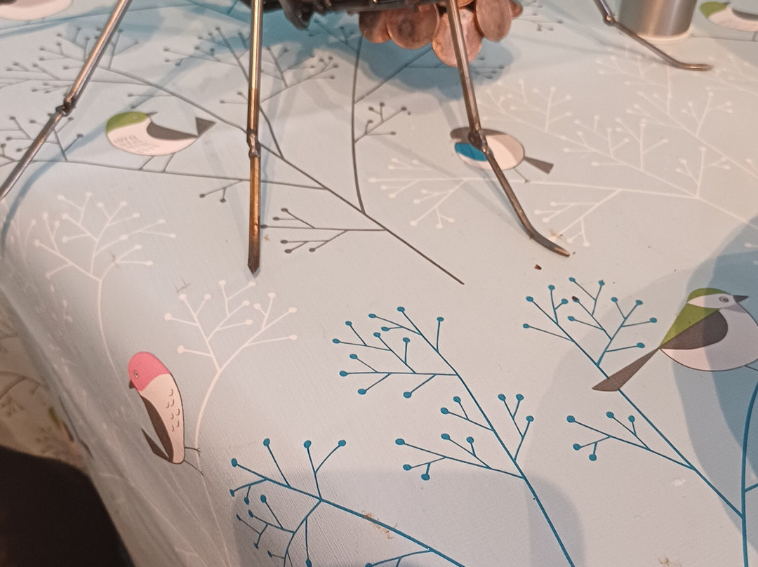 The Arty Goat-伯明翰必去景点