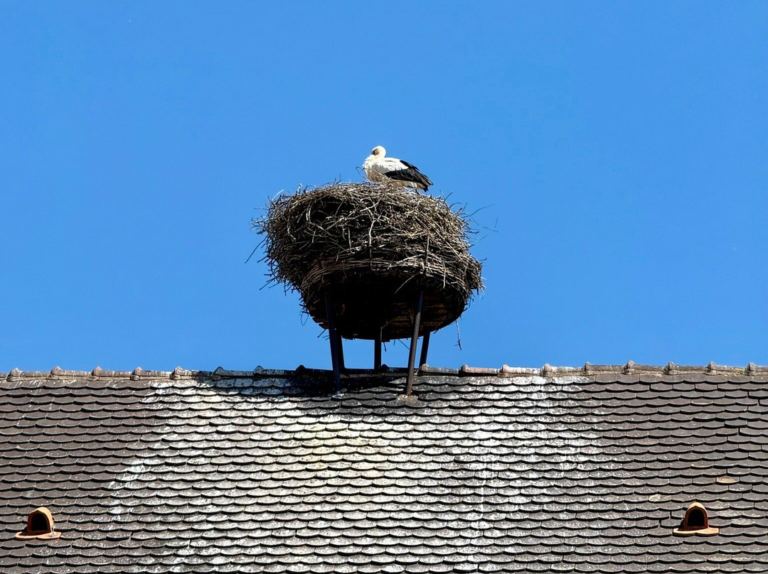 Hôtel Des Berges主图