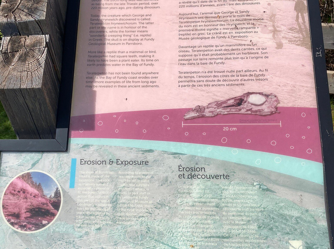 Burntcoat Head Park-Noel必去景点