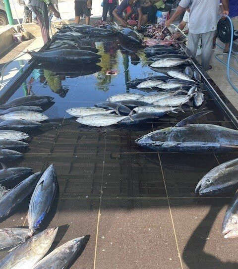 Fuvahmulah Scuba Club景点图片