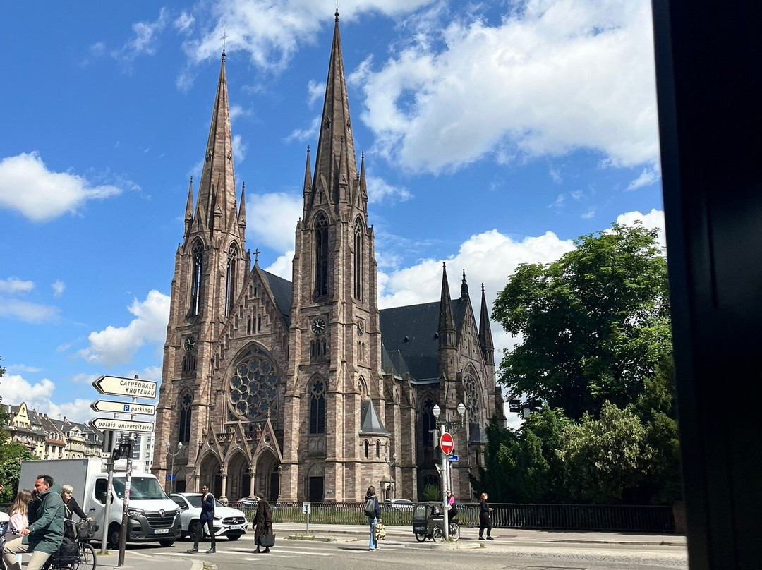 Petit Train Touristique de Strasbourg景点图片