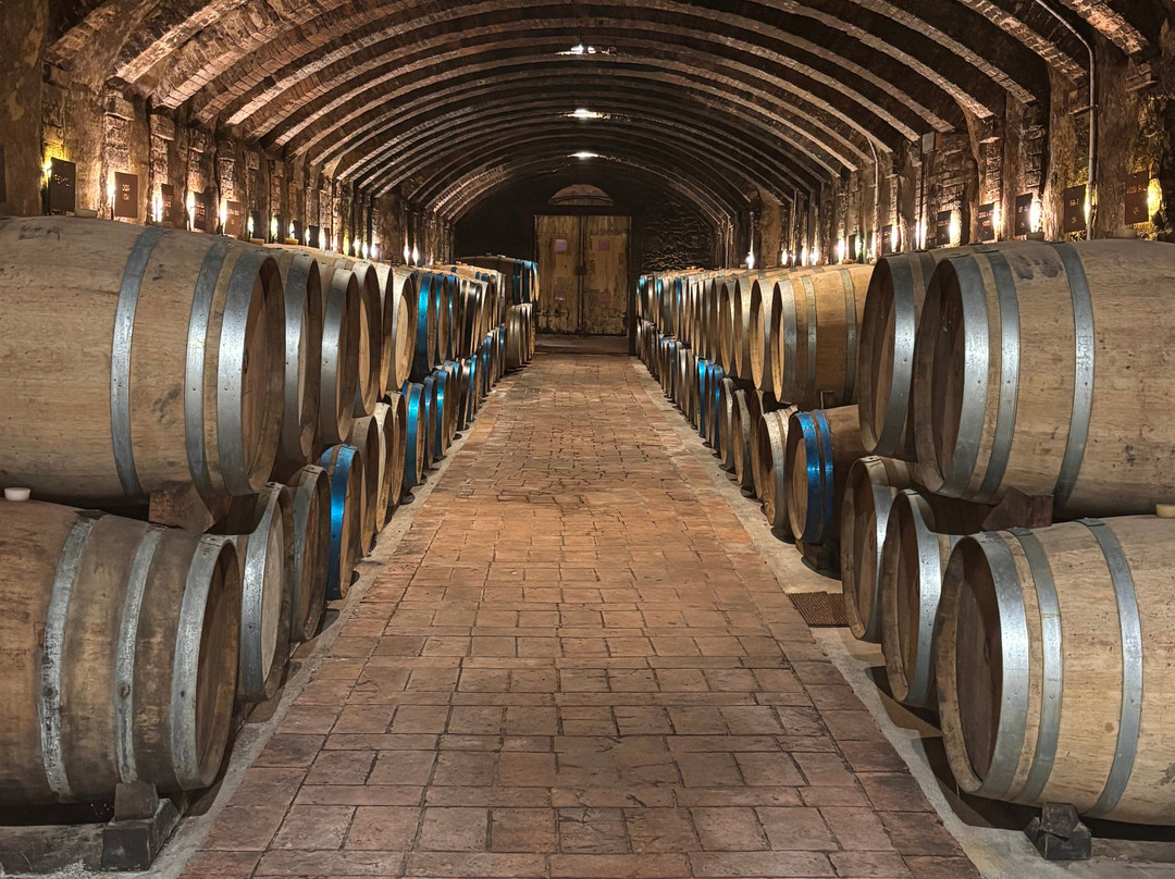 Il Cellese winery Boutique-波吉邦西必去景点