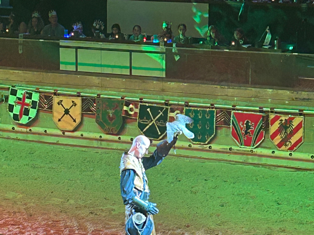Medieval Times Dinner & Tournament景点图片