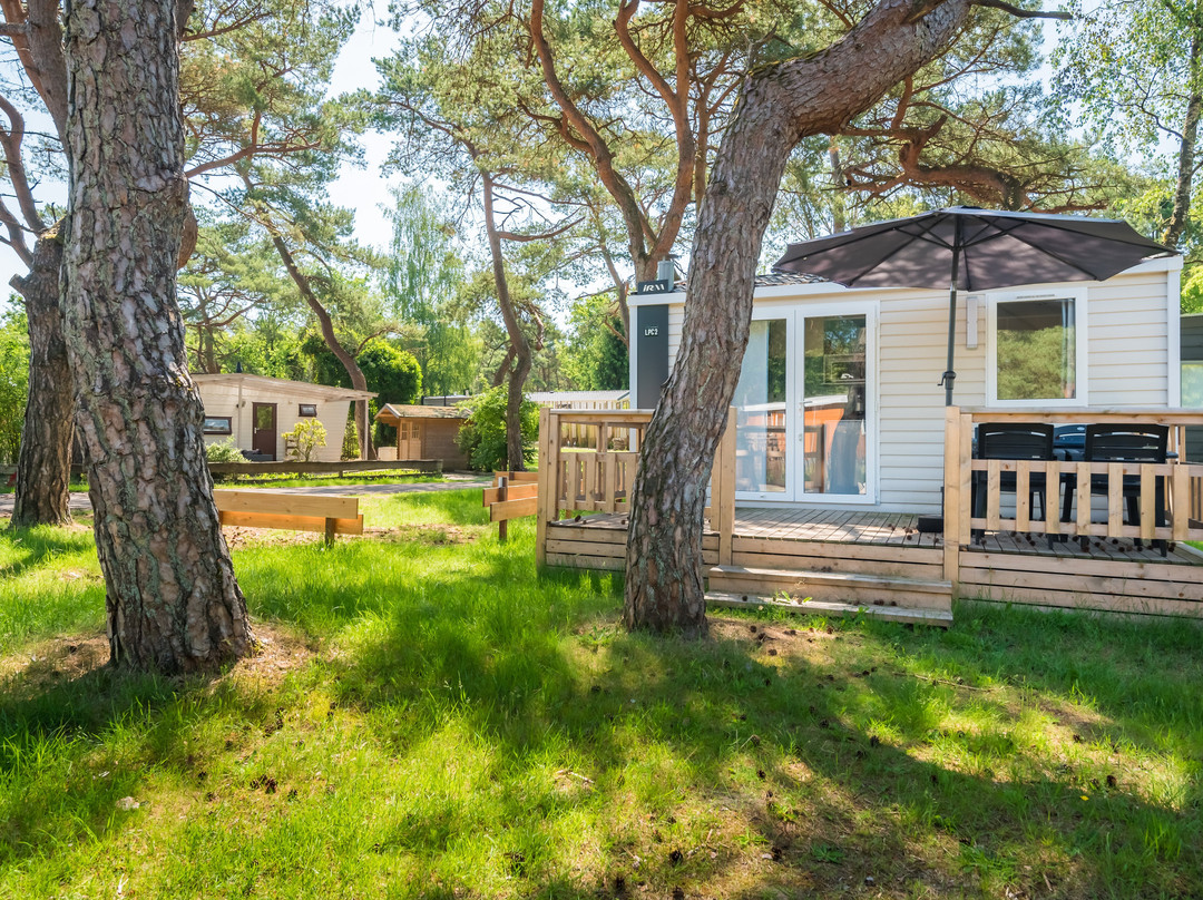 Bos Park Bilthoven-Bilthoven必去景点