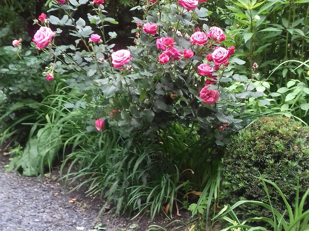 Jardin d'Atmosphere du Petit Bordeaux景点图片