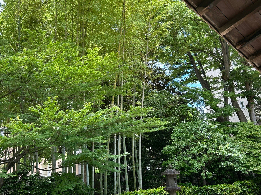 Takasaki Art Museum-高崎市必去景点