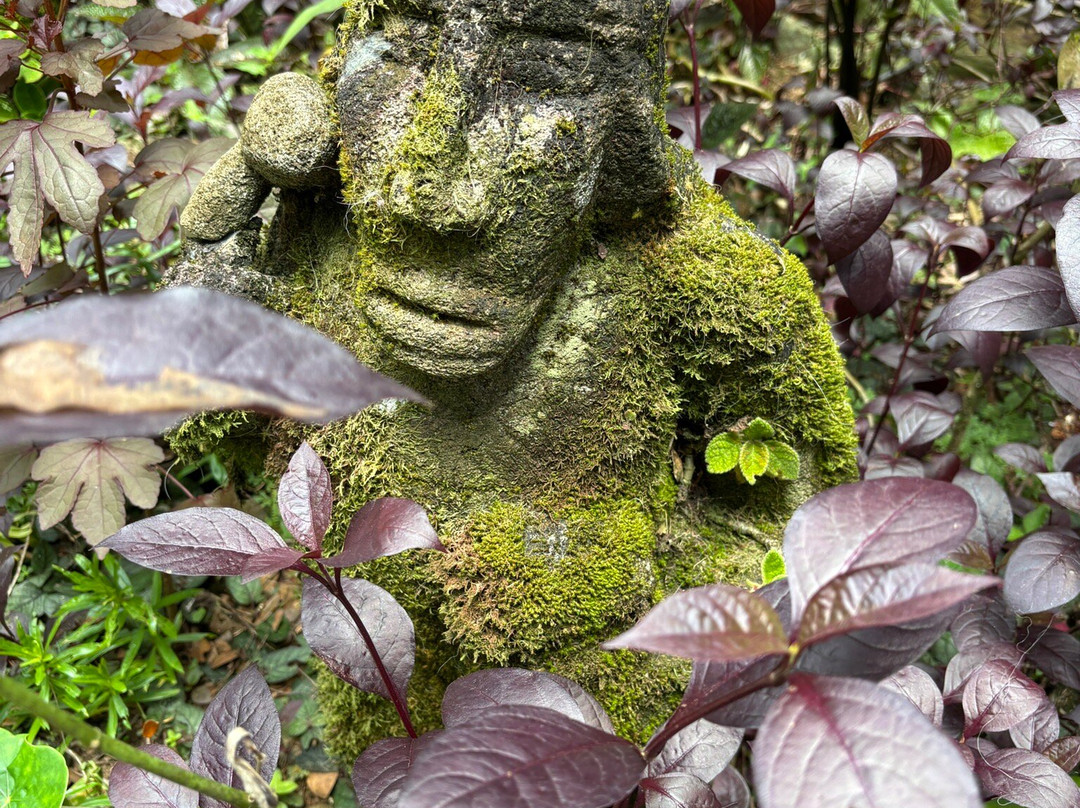 Green Acres Chocolate Farm and Nature Preserve景点图片