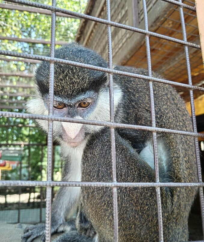 Lesnaya Skazka-Barnaul必去景点