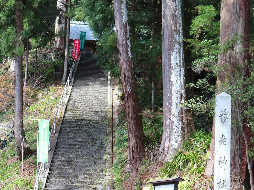 Yoro Shrine-养老町必去景点