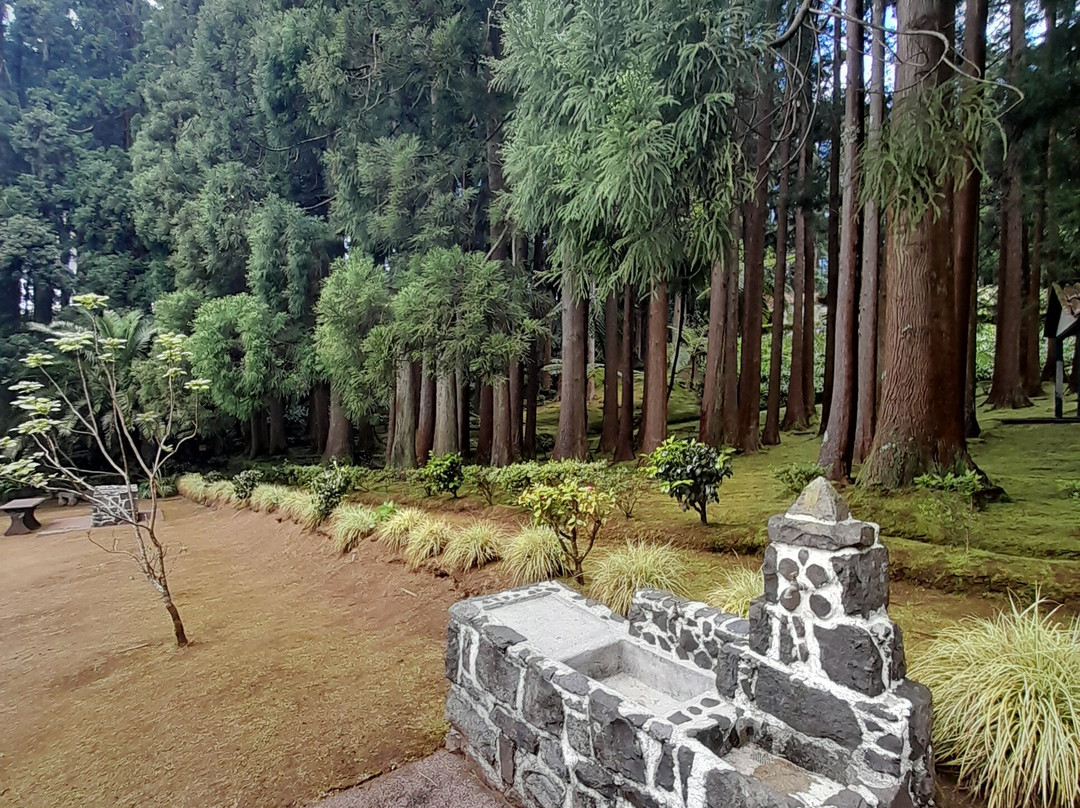Reserva Florestal de Recreio de Fontinhas-Santa Maria必去景点