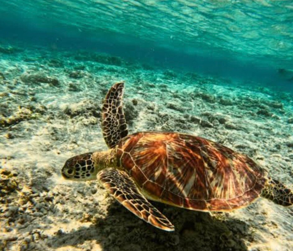 Lombok Explorer Tours-Senggigi必去景点