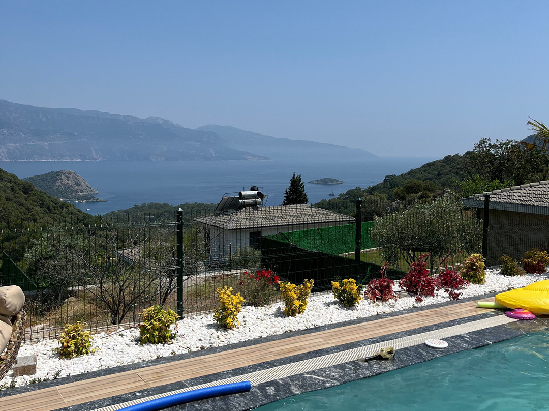Fethiye Lovers Travel Agency景点图片
