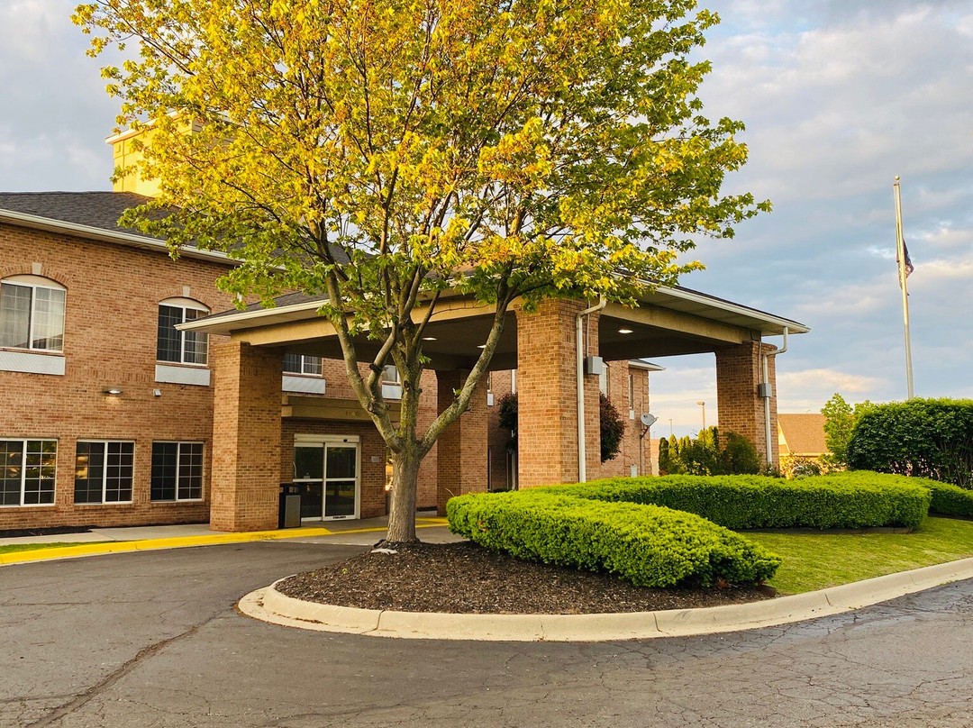 Comfort Inn & Suites主图