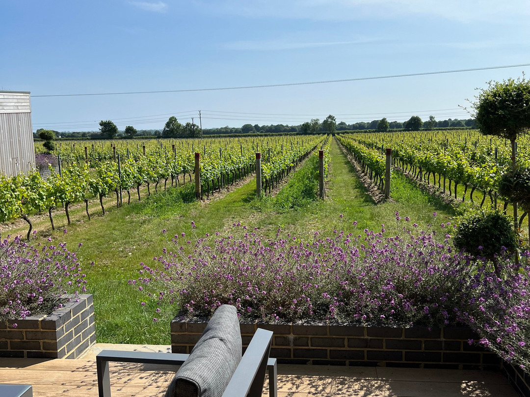 Tinwood Estate Vineyard景点图片