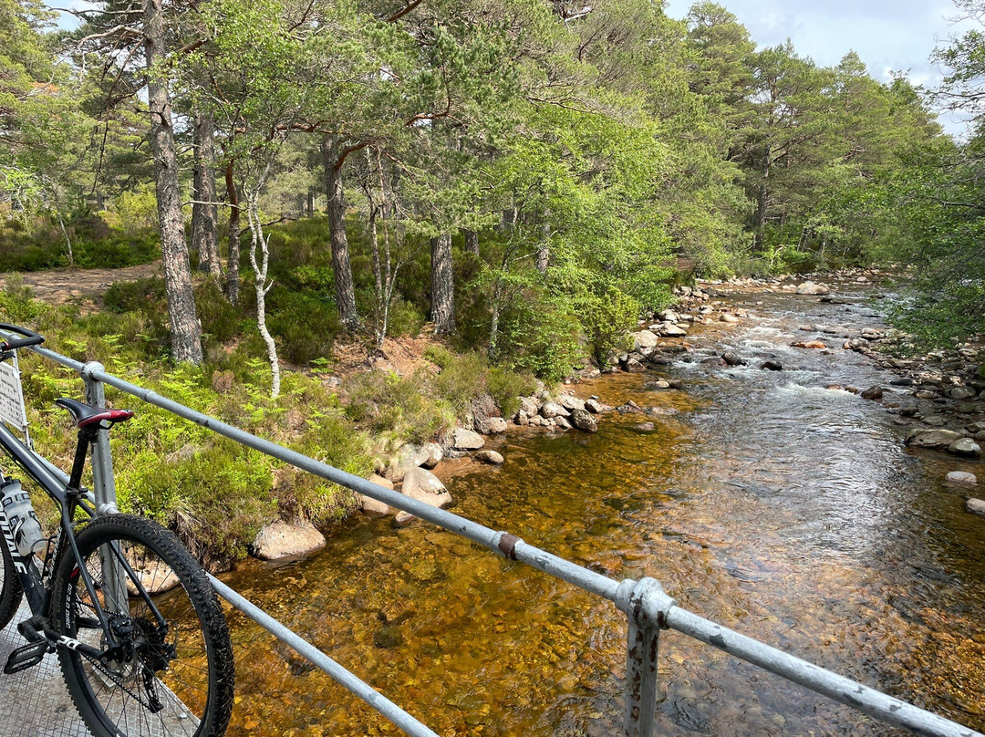 Coylumbridge Highland Lodges主图
