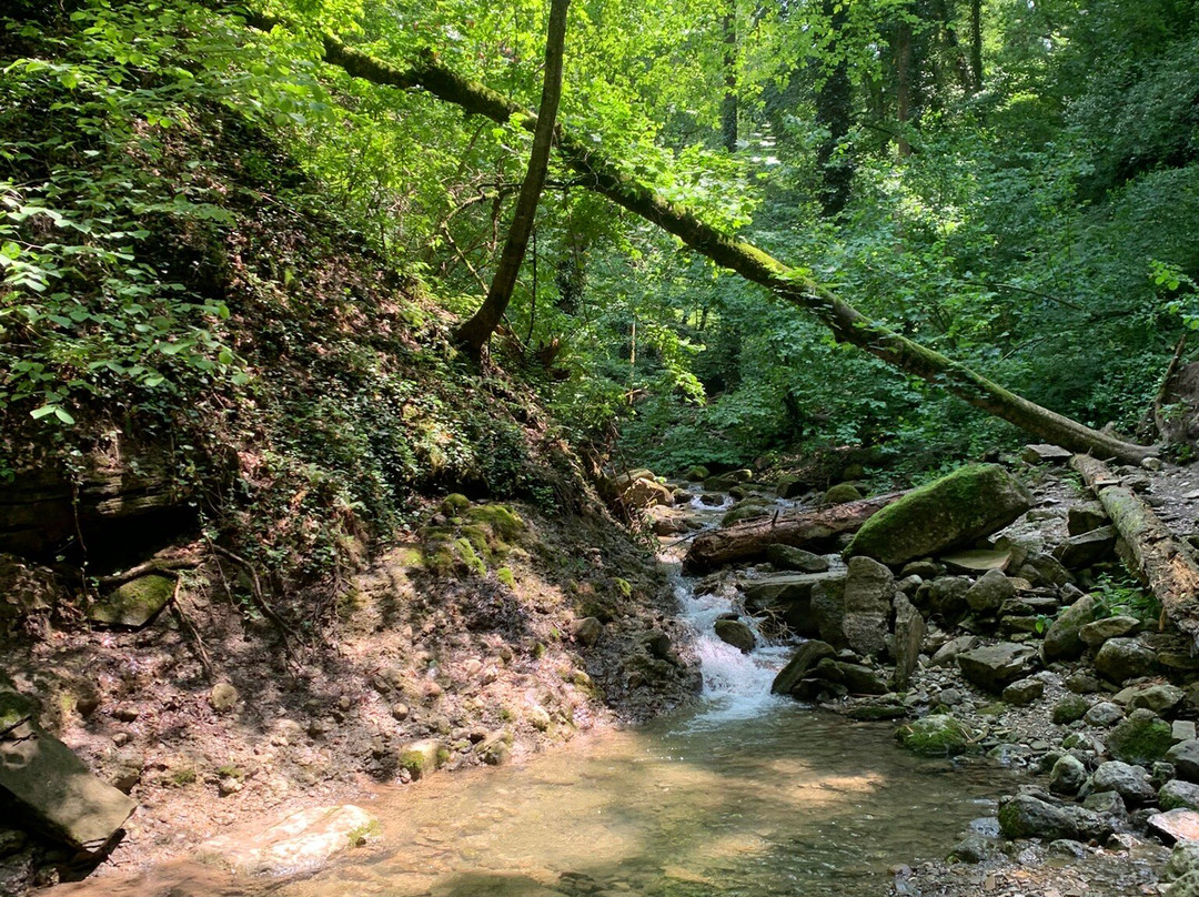 Large Kaverzinsky Waterfall景点图片