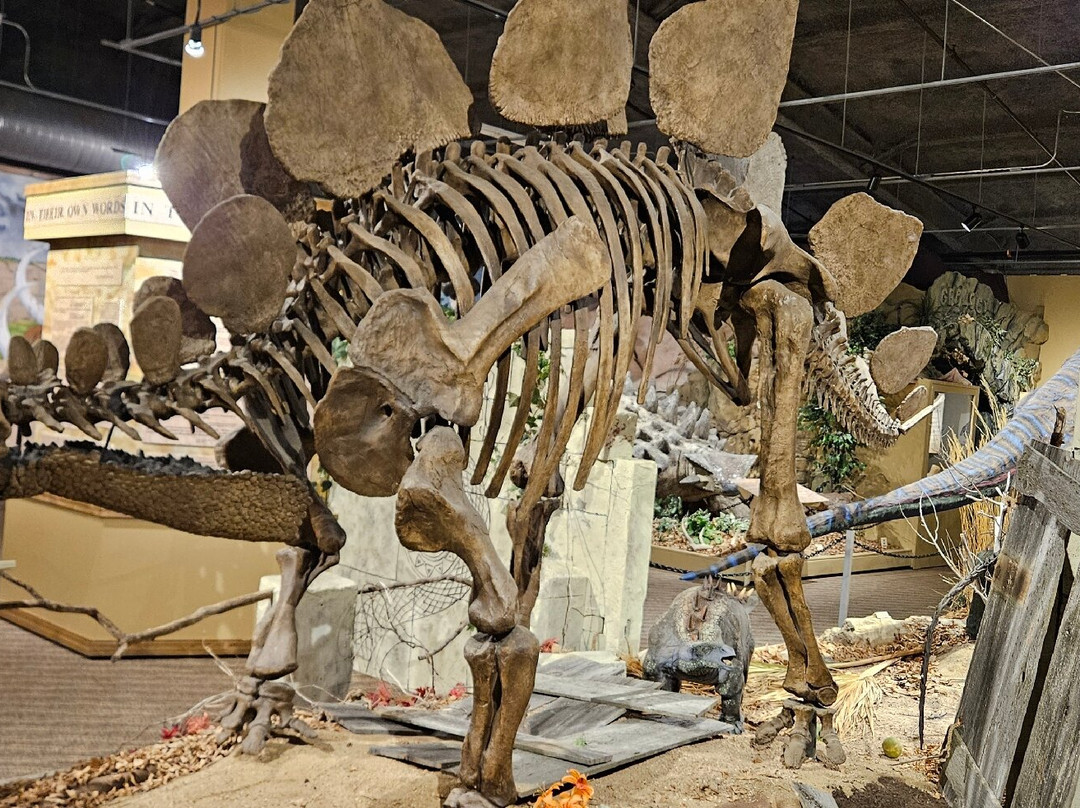 Glendive Dinosaur & Fossil Museum-Glendive必去景点