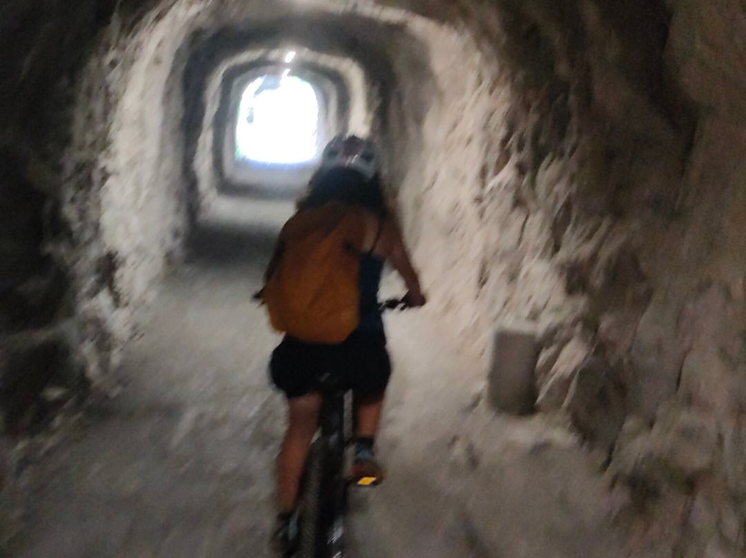 Bici Senda del oso景点图片