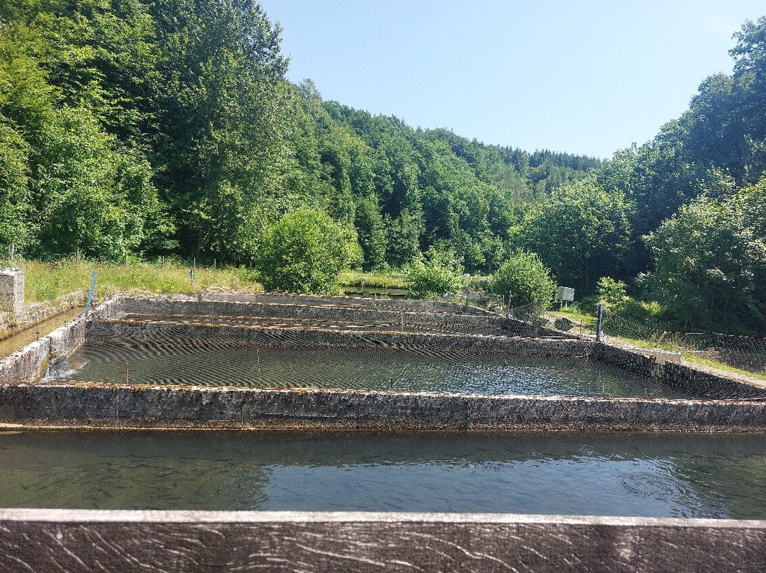 Pecherie du Fourneau Marchand