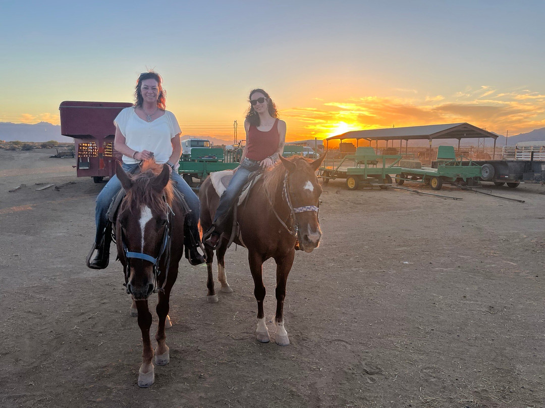 KOLI Equestrian Center-钱德勒必去景点