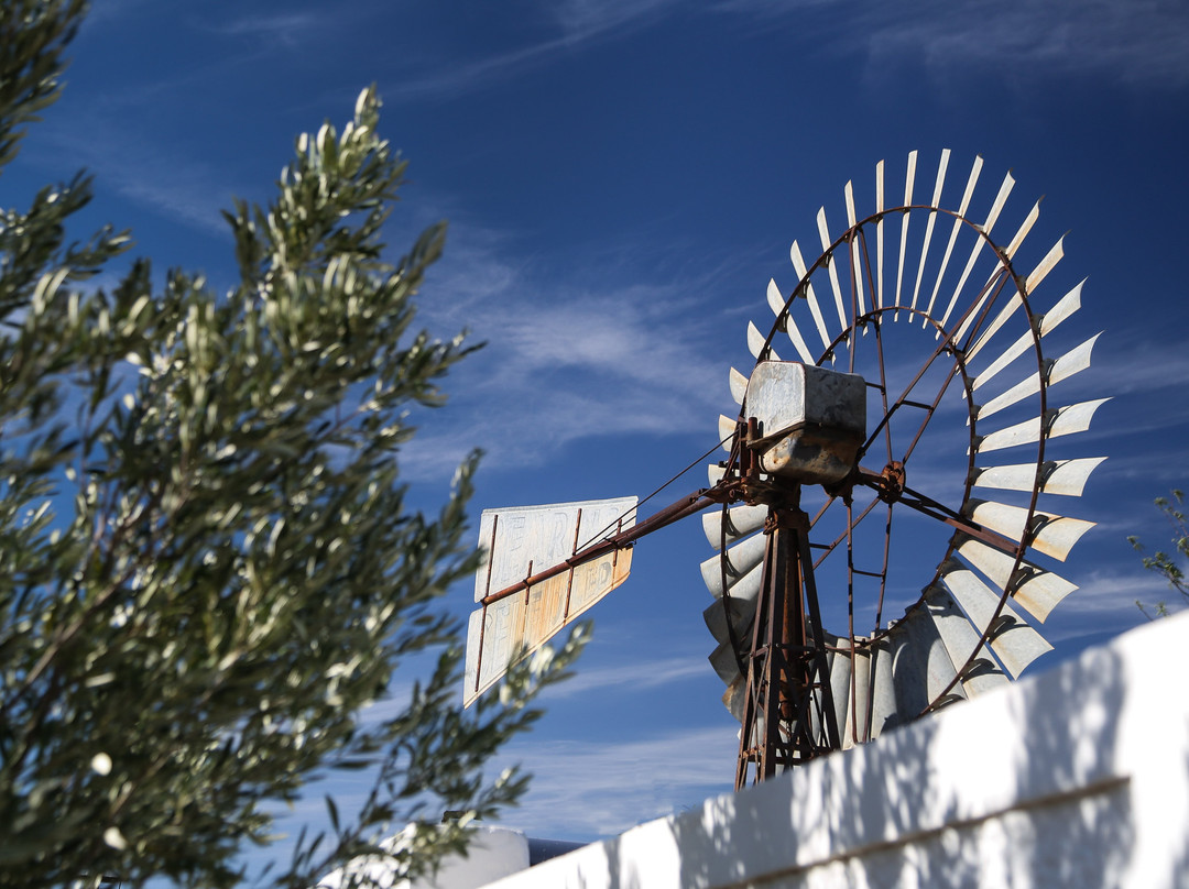 Dennehof Karoo Guesthouse主图