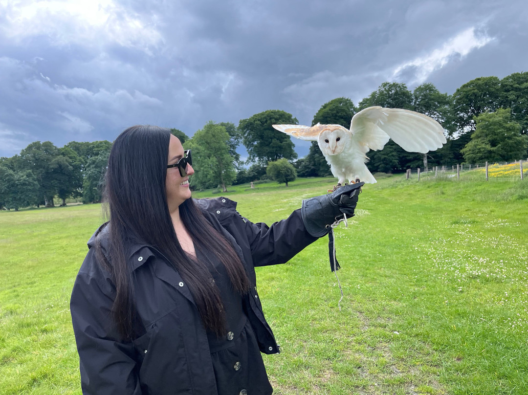 National Bird of Prey Centre-Blessington必去景点