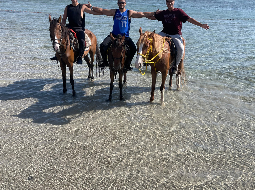 Hurghada Equestrian-马卡迪湾必去景点