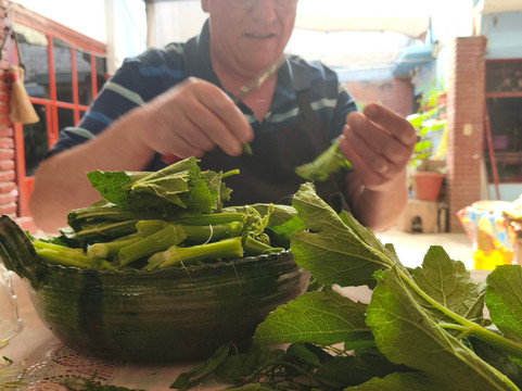 Oaxacan Roots, Cultural Immersion-瓦哈卡必去景点