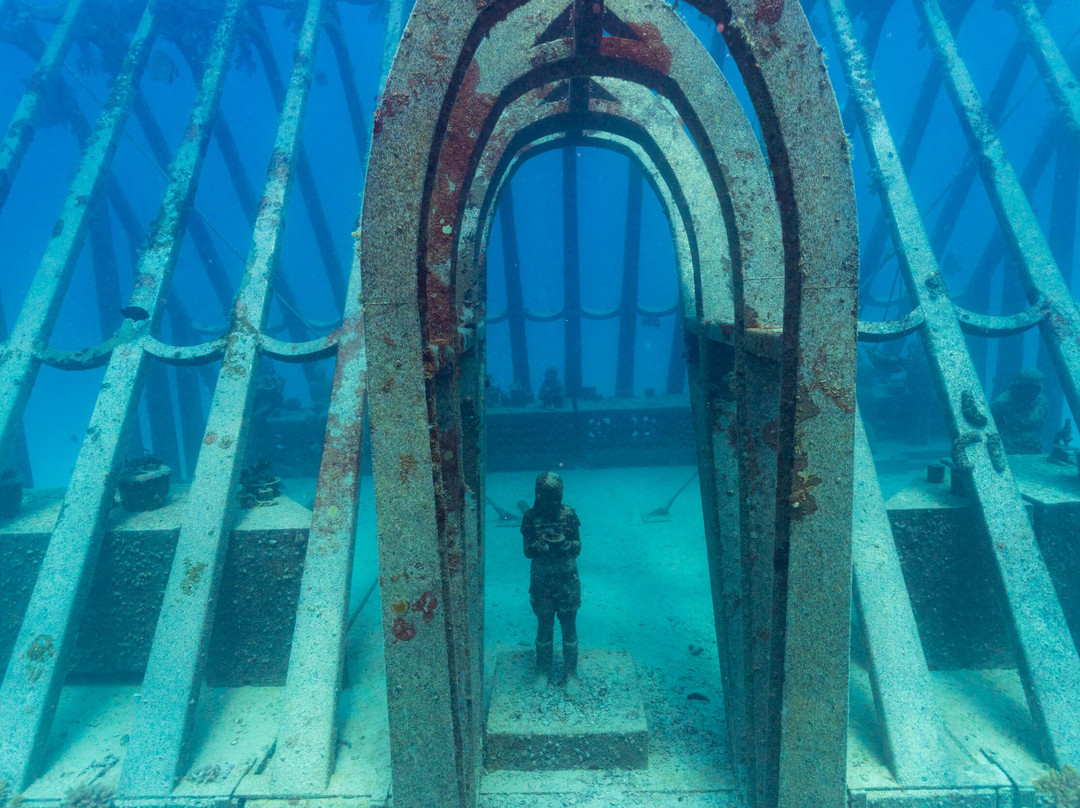 Adrenalin Snorkel and Dive-汤斯维尔必去景点