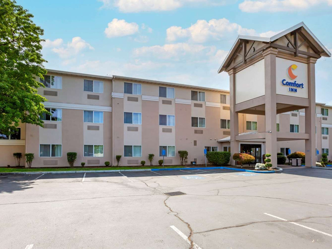Comfort Inn South