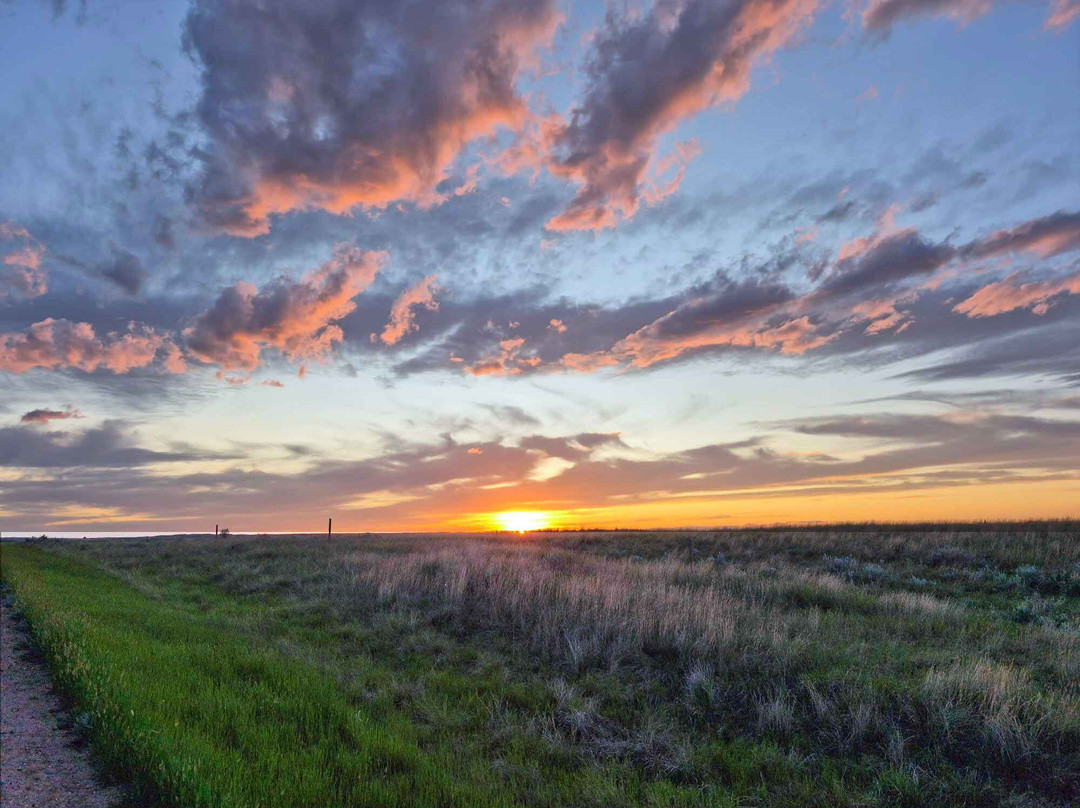 The Crossing at Grasslands主图