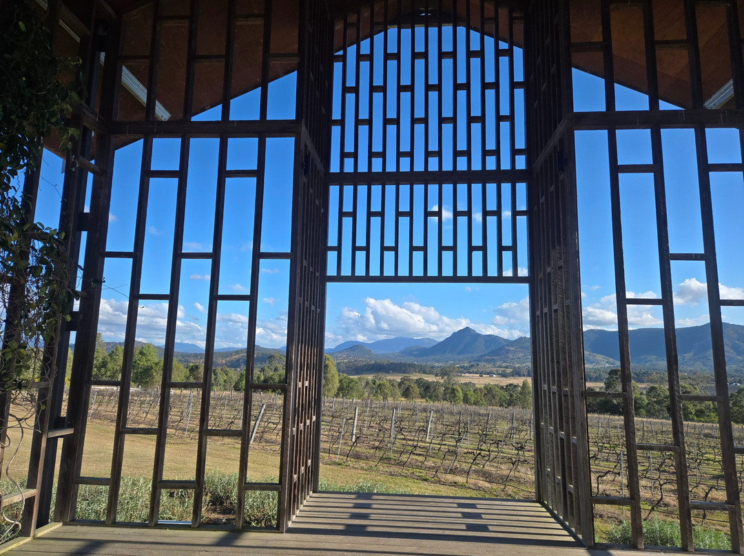 Kooroomba Vineyards and Lavender Farm-Mount Alford必去景点