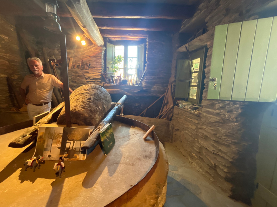 Cyclades Olive Museum-Pitrofos必去景点