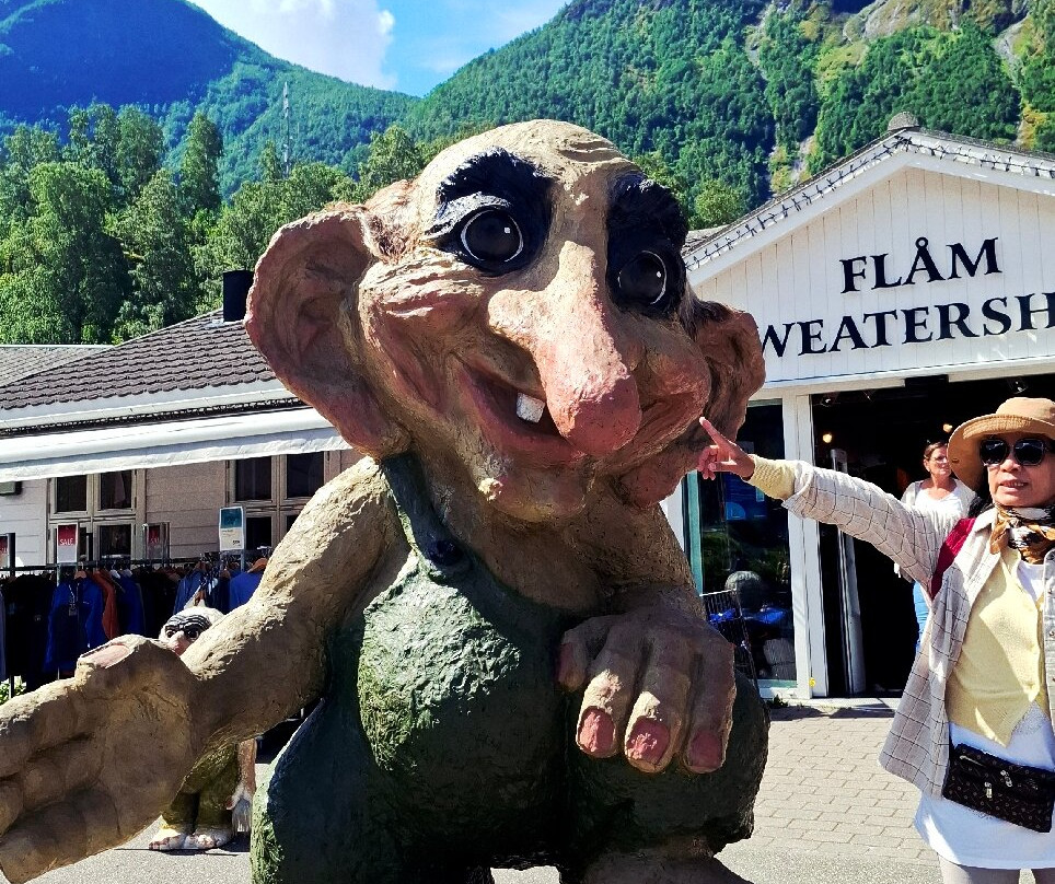Flam Visitor Center-弗洛姆必去景点