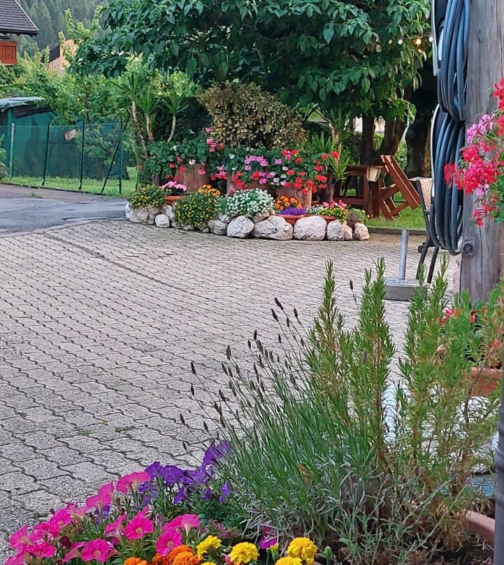 Hotel Genzianella主图