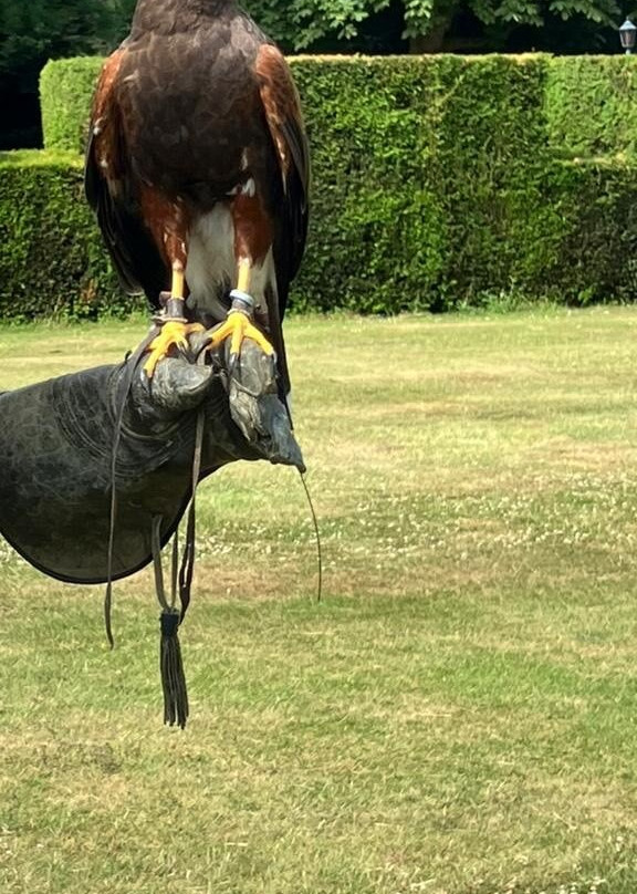 The Hawking Centre-Boughton Lees必去景点