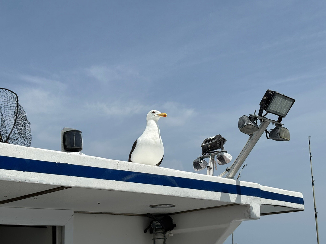 Sunbeam Fleet-Waterford必去景点