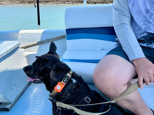 Chincoteague Island Adventures-钦科蒂格岛必去景点