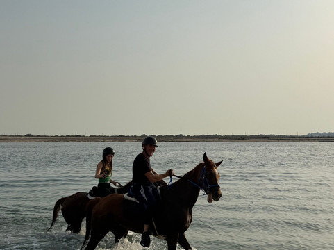 Sanam Stable-阿布扎比必去景点