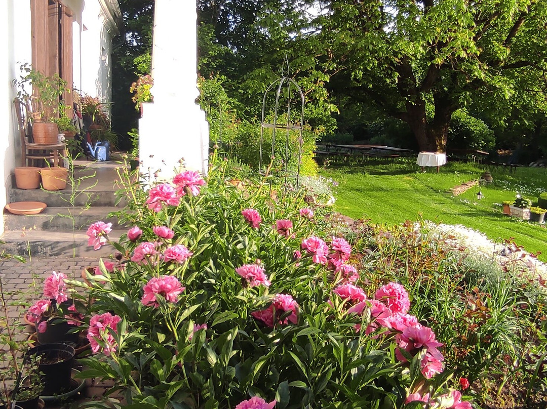 Szentabrahami Organic herb garden-Avrămești必去景点