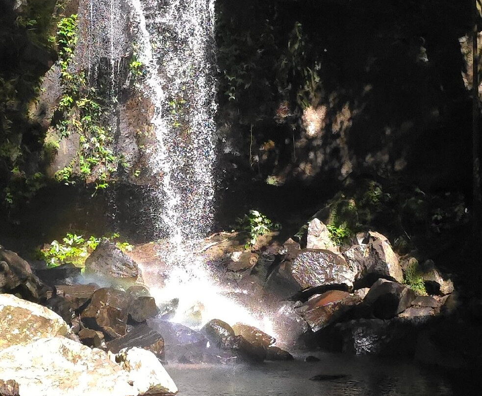 Curtis Falls-丹百林山必去景点