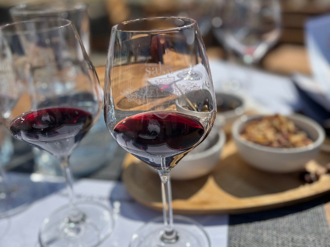 Merlot et Moi Winetours