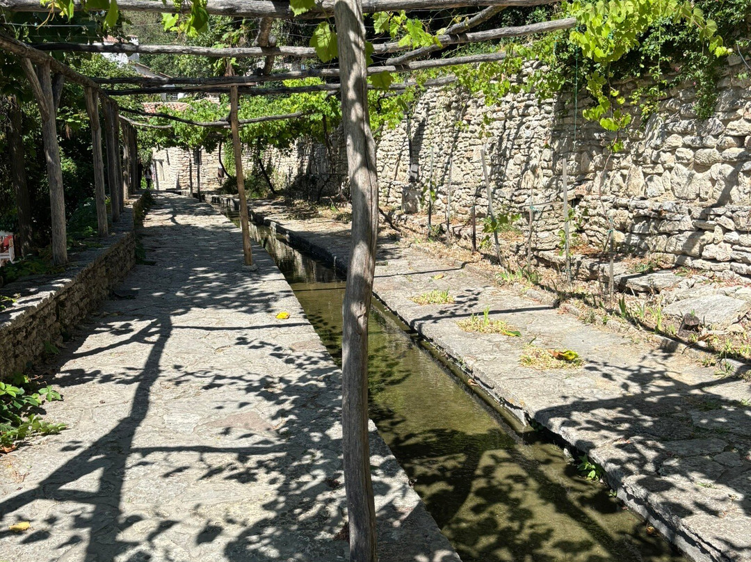 Balchik Palace-巴切克必去景点